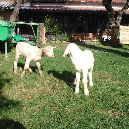 La Vecchia